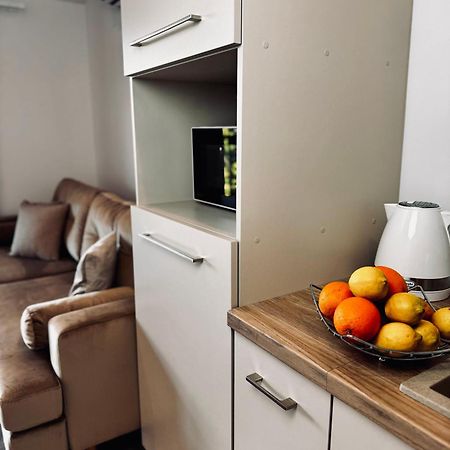 Piotrowice  Apartamenty Modrzewiowa Zator المظهر الخارجي الصورة